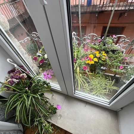 Apartment In The City Center Mini อิวาโน-ฟรานกิฟสเก ภายนอก รูปภาพ